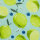 Baumwollgewebe FRUITS Zitronen Limonen