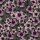 French Terry Blumen violett khaki
