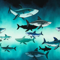 French Terry Panel Haie  Shark Tank by Thorsten Berger...