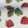 Beschichtete Baumwolle ALSFELD Erdbeeren
