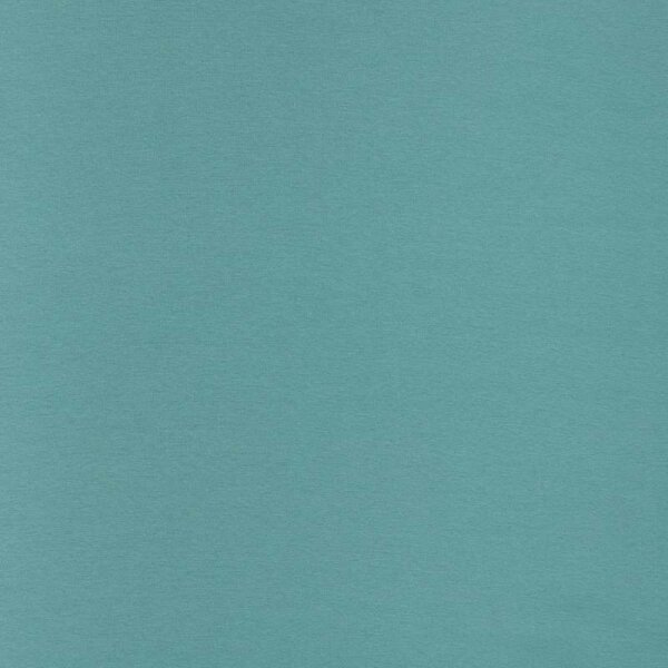 Jersey uni Vanessa mint 263
