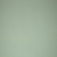 Musseline Jenke hellmint 261