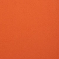 Heavy Sweat Hanni uni orange 713