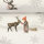 Canvas Weihnachten SANTA Nikolaus mit Schlitten + Rentier